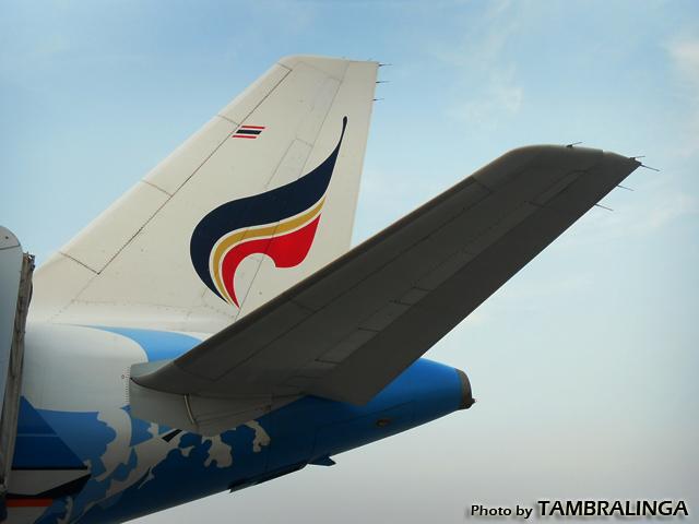 SDC11386.jpg